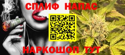 jwh Гусев