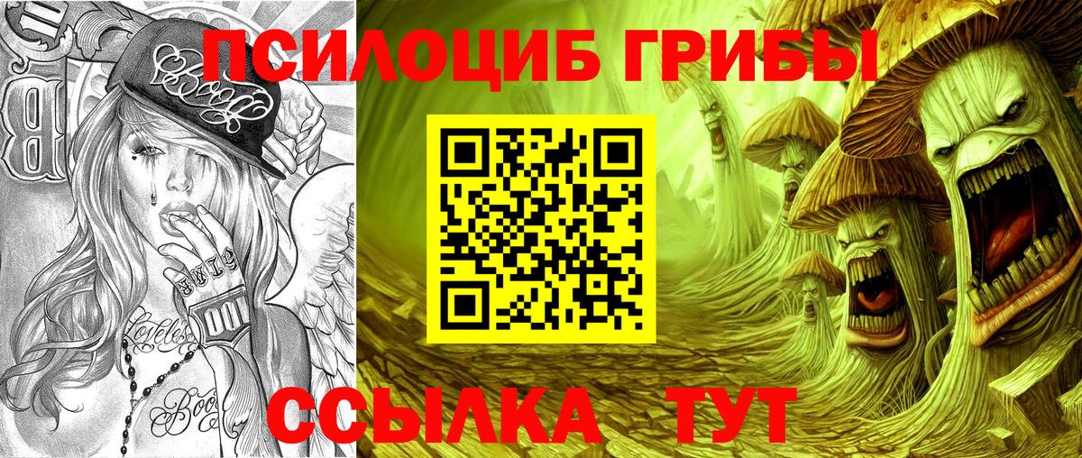 Псилоцибиновые грибы Psilocybine cubensis  Вход с VPN  Калач-на-Дону  Галлюциногенные грибы Cubensis 