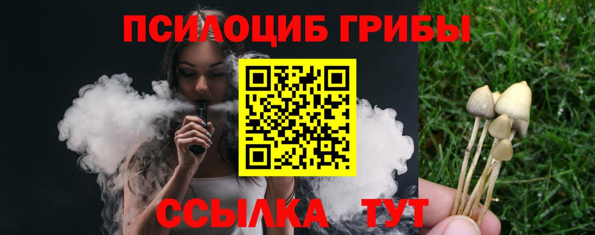 Псилоцибиновые грибы мицелий Калач-на-Дону